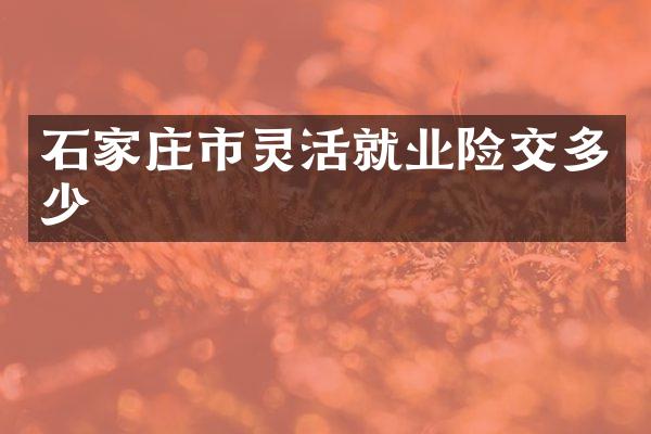 石家庄市灵活就业险交多少