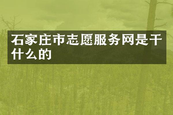 石家庄市志愿服务网是干什么的