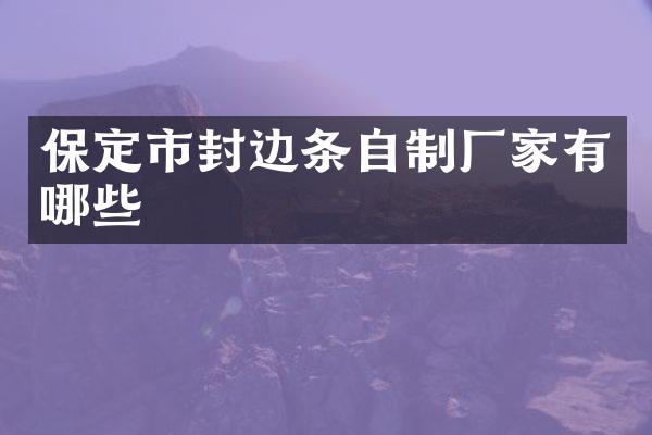 保定市封边条自制厂家有哪些