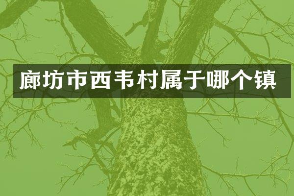 廊坊市西韦村属于哪个镇