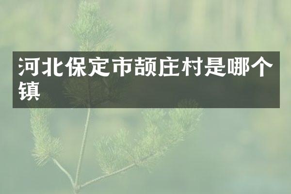 河北保定市颉庄村是哪个镇
