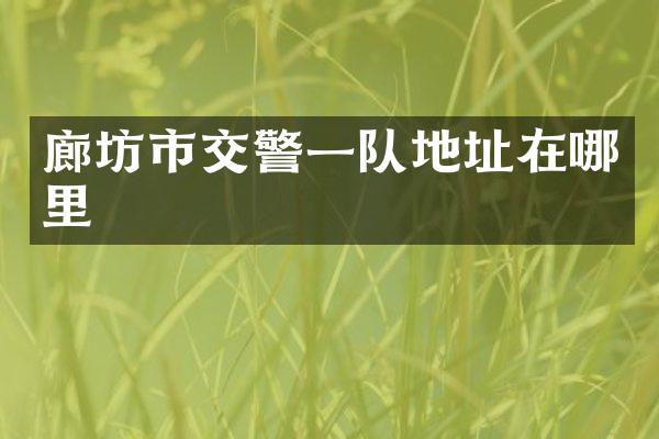廊坊市交警一队地址在哪里