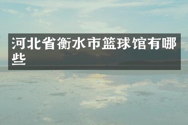 河北省衡水市篮球馆有哪些