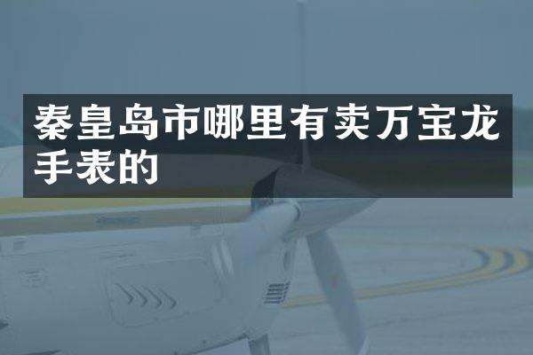 秦皇岛市哪里有卖万宝龙手表的