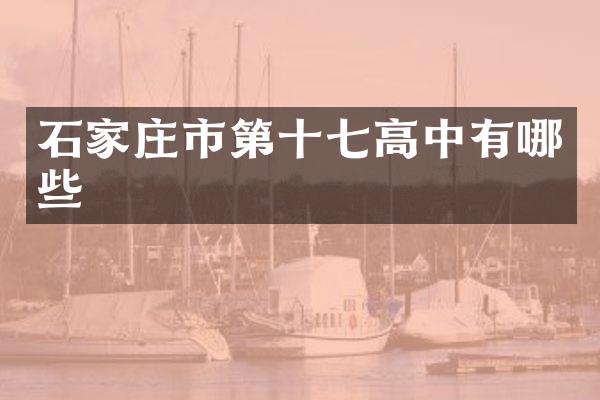 石家庄市第十七高中有哪些