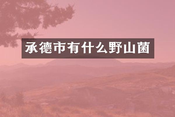 承德市有什么野山菌