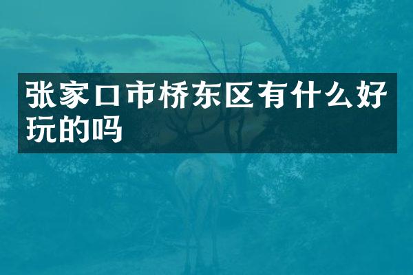 张家口市桥东区有什么好玩的吗