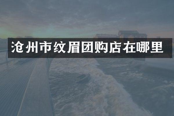 沧州市纹眉团购店在哪里