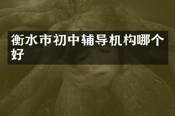 衡水市初中辅导机构哪个好
