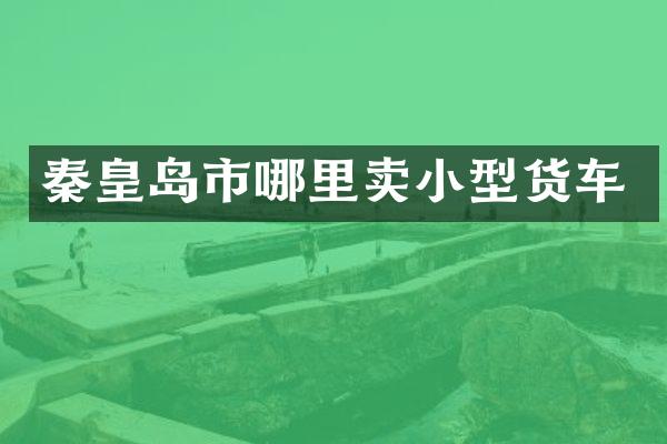 秦皇岛市哪里卖小型货车