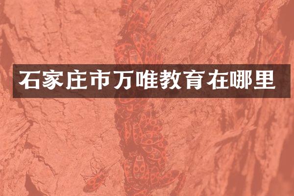 石家庄市万唯教育在哪里