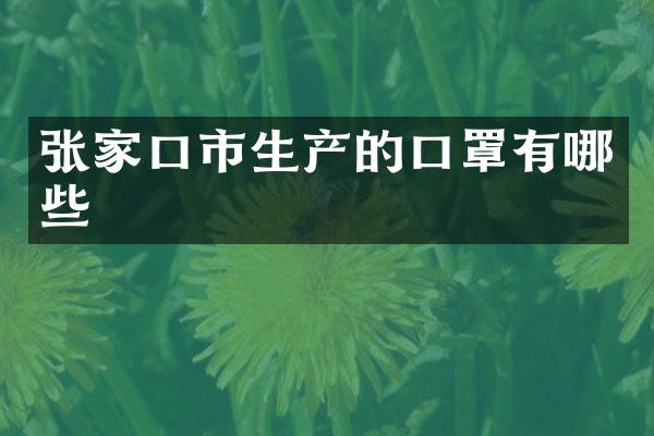 张家口市生产的口罩有哪些