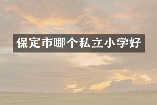 保定市哪个私立小学好