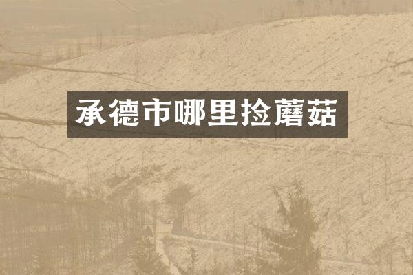 承德市哪里捡蘑菇
