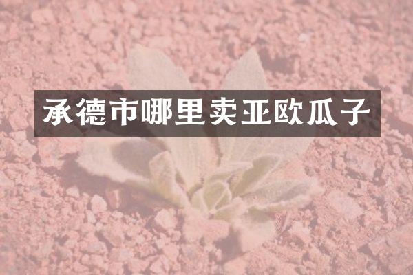 承德市哪里卖亚欧瓜子