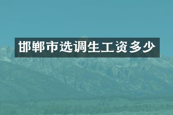 邯郸市选调生工资多少