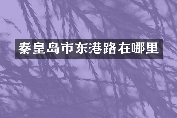 秦皇岛市东港路在哪里
