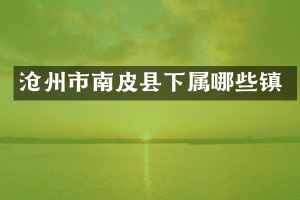 沧州市南皮县下属哪些镇