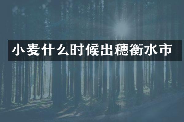 小麦什么时候出穗衡水市