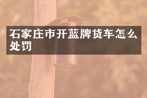 石家庄市开蓝牌货车怎么处罚
