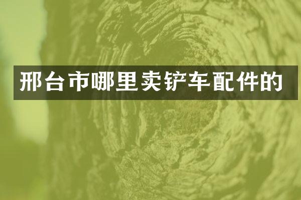邢台市哪里卖铲车配件的