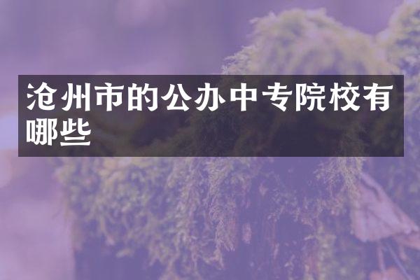 沧州市的公办中专院校有哪些