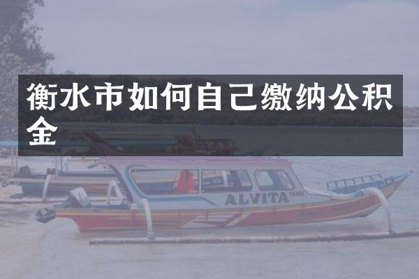 衡水市如何自己缴纳公积金