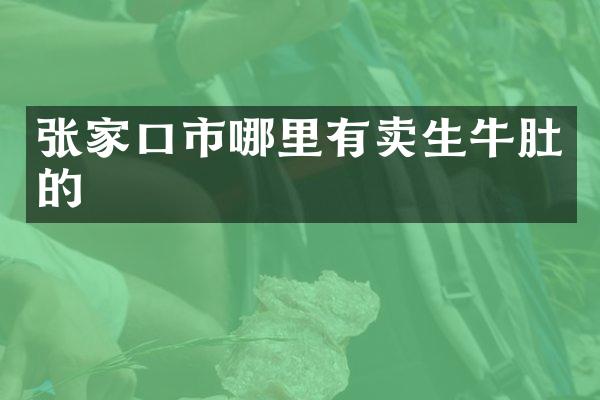 张家口市哪里有卖生牛肚的