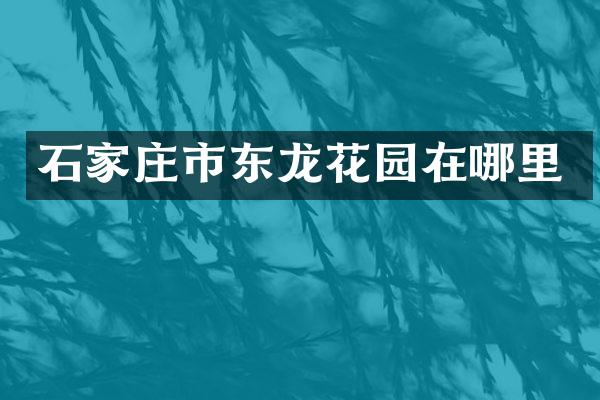 石家庄市东龙花园在哪里