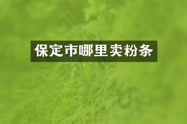 保定市哪里卖粉条