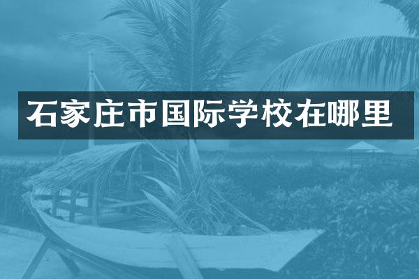 石家庄市国际学校在哪里