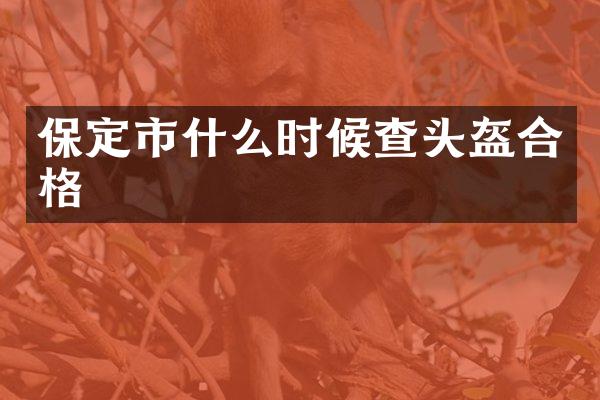 保定市什么时候查头盔合格