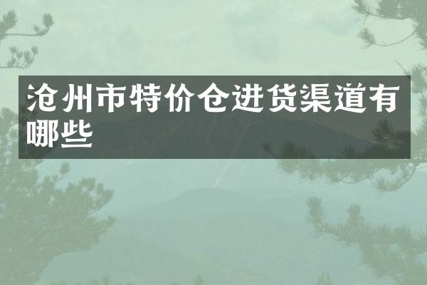 沧州市特价仓进货渠道有哪些