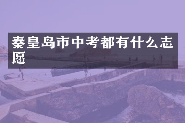 秦皇岛市中考都有什么志愿