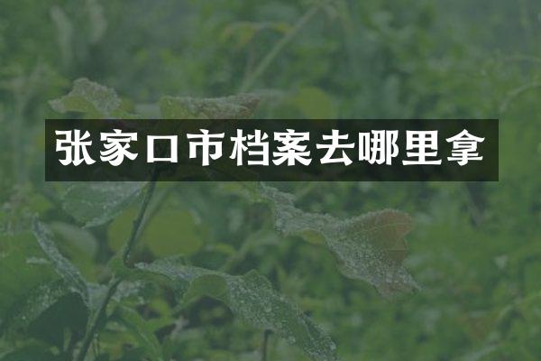 张家口市档案去哪里拿