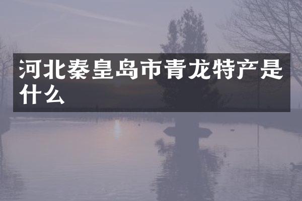 河北秦皇岛市青龙特产是什么