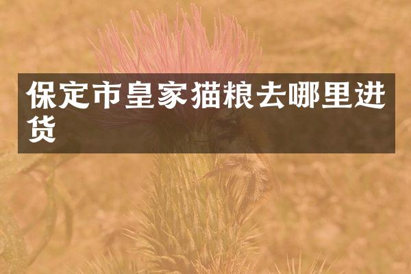 保定市皇家猫粮去哪里进货