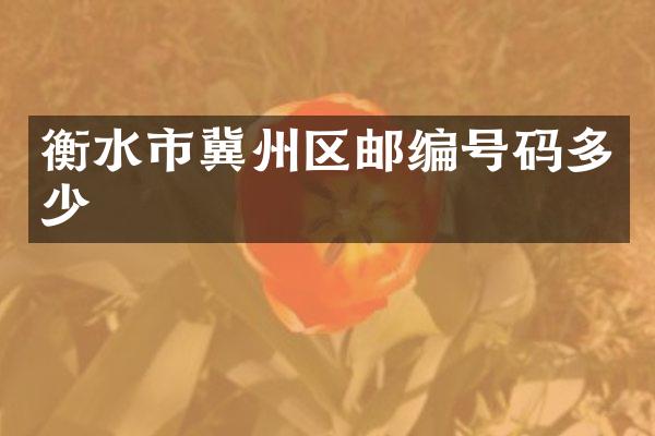 衡水市冀州区邮编号码多少