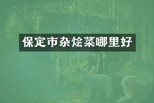 保定市杂烩菜哪里好