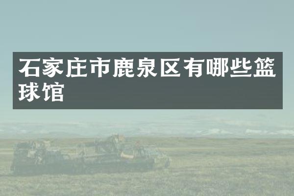 石家庄市鹿泉区有哪些篮球馆
