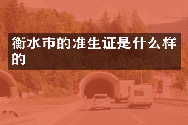 衡水市的准生证是什么样的