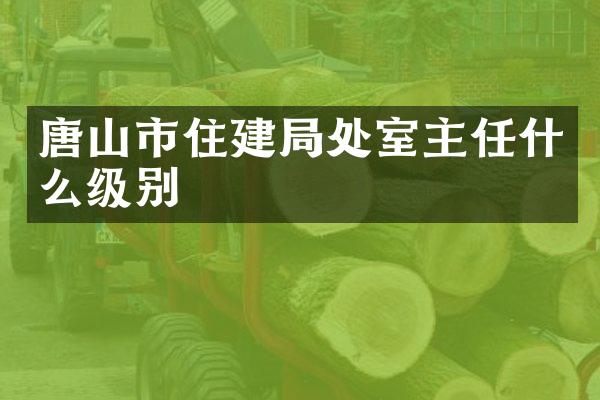 唐山市住建局处室主任什么级别