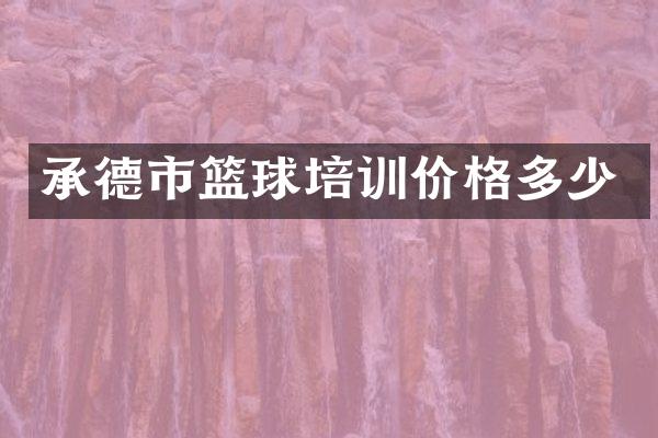 承德市篮球培训价格多少