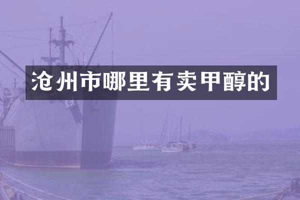沧州市哪里有卖甲醇的