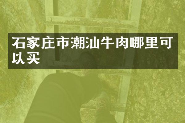 石家庄市潮汕牛肉哪里可以买