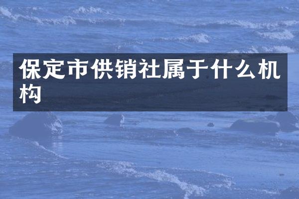 保定市供销社属于什么机构