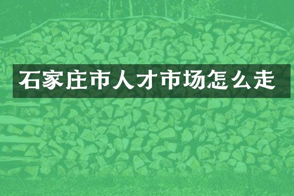 石家庄市人才市场怎么走