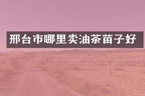邢台市哪里卖油茶苗子好