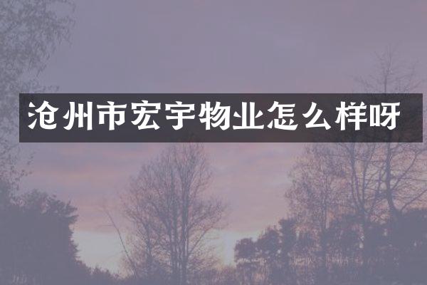 沧州市宏宇物业怎么样呀