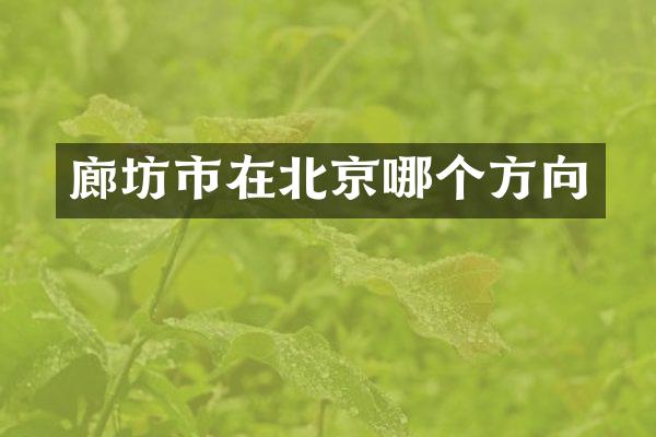 廊坊市在北京哪个方向